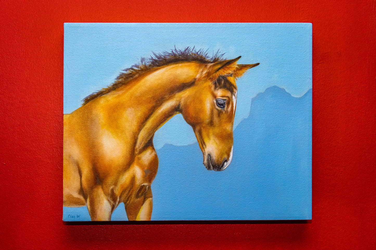 {{ Riding_Boots }} - {{ Hello_Quality }} {{ Equestrian }} {{horse_rider }}