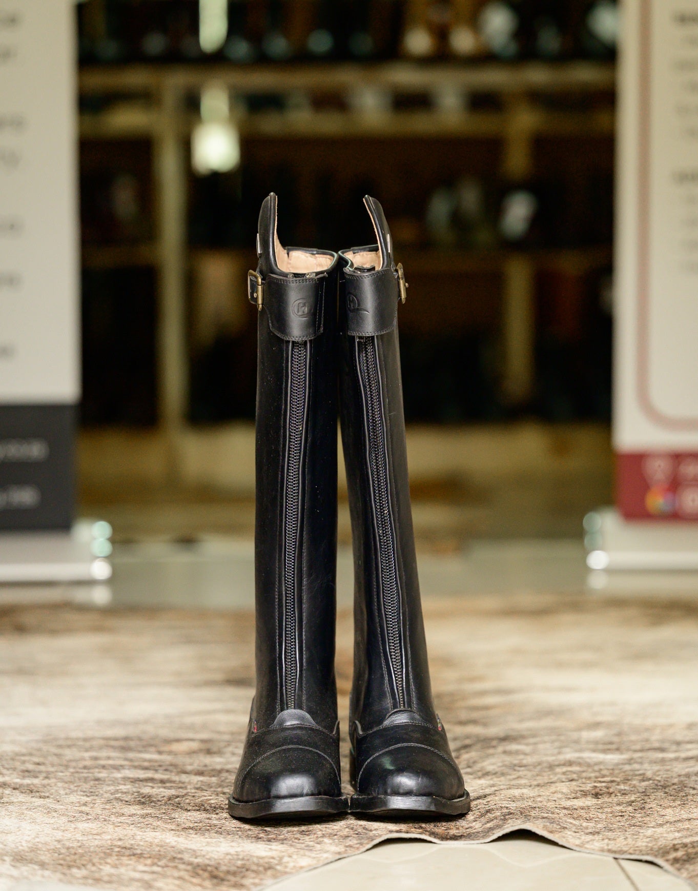 Jedda Demo Long Riding Boot
