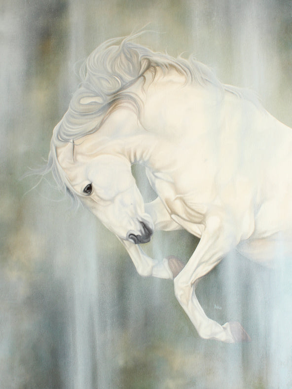 {{ Riding_Boots }} - {{ Hello_Quality }} {{ Equestrian }} {{horse_rider }}
