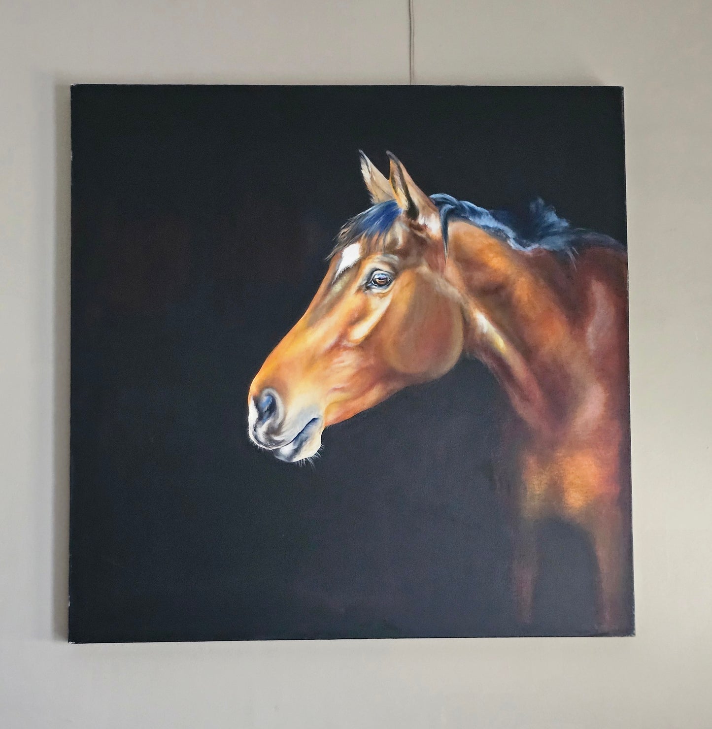 {{ Riding_Boots }} - {{ Hello_Quality }} {{ Equestrian }} {{horse_rider }}