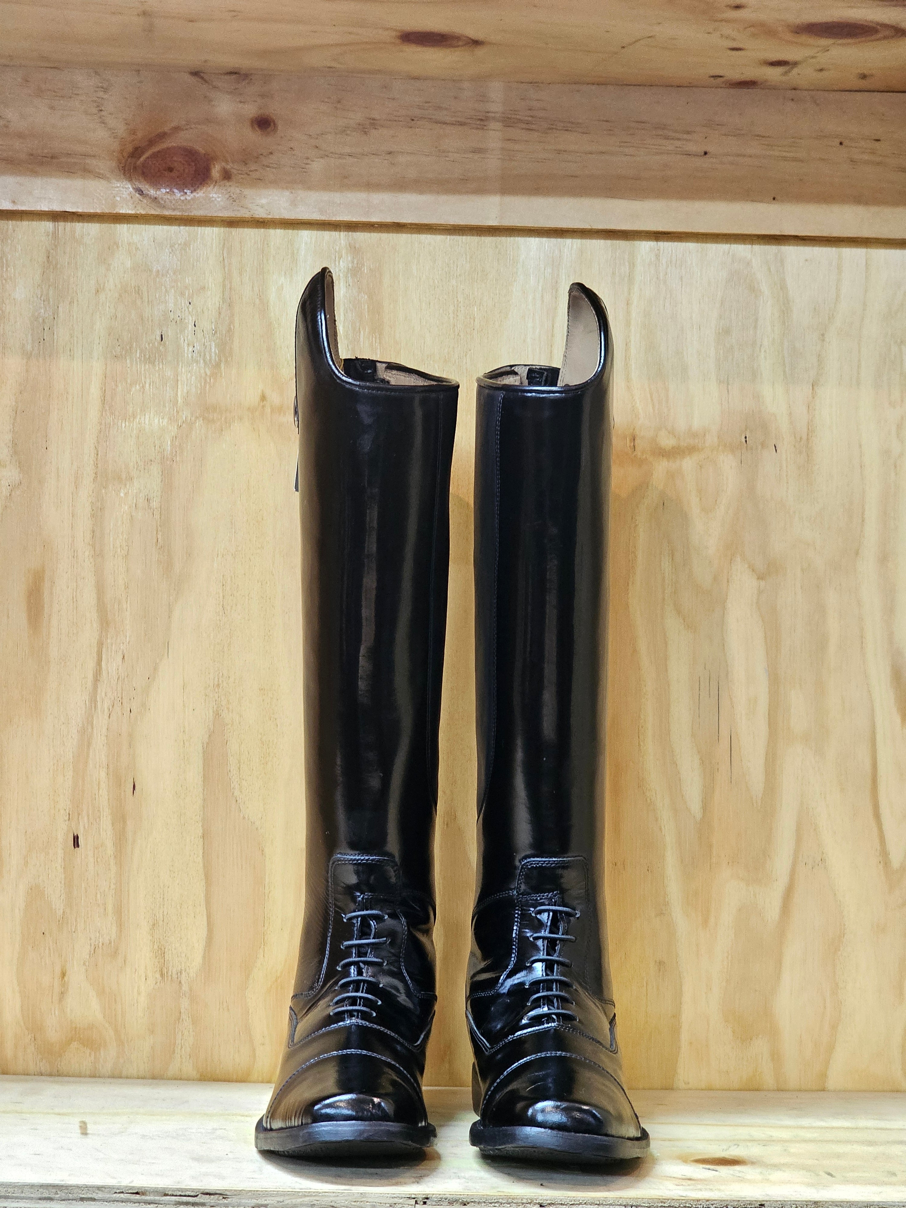 Bonolo Patent Firm Dressage Demo