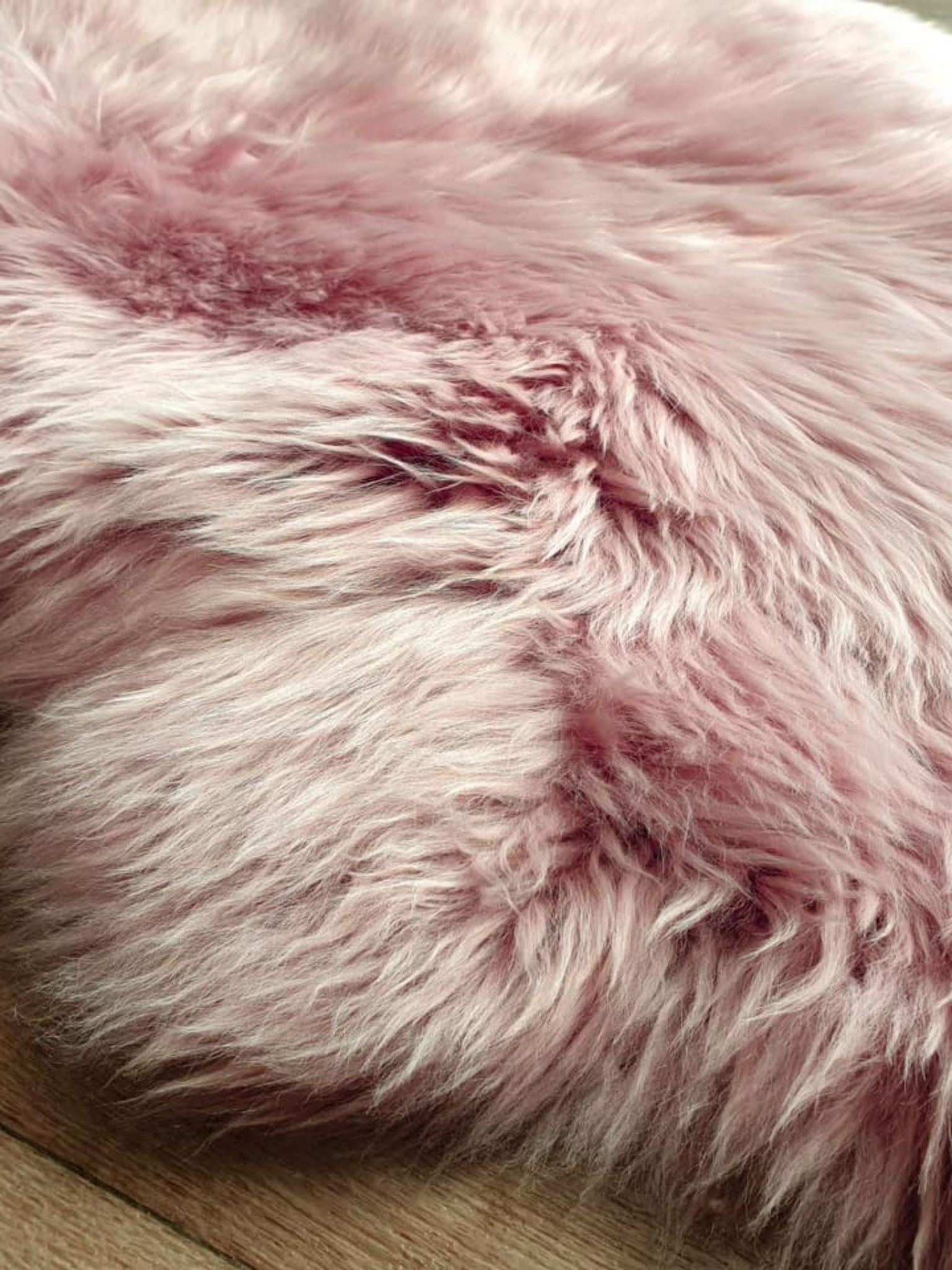 Pink Sheepskin Rug | Hello Quality Equestrian